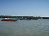 Key West Poker Run  (150).JPG